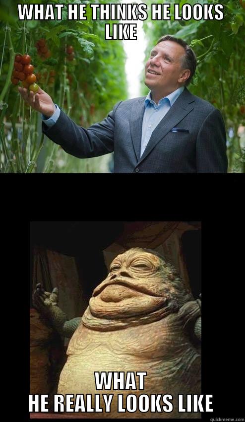 WHAT HE THINKS HE LOOKS LIKE WHAT HE REALLY LOOKS LIKE Misc