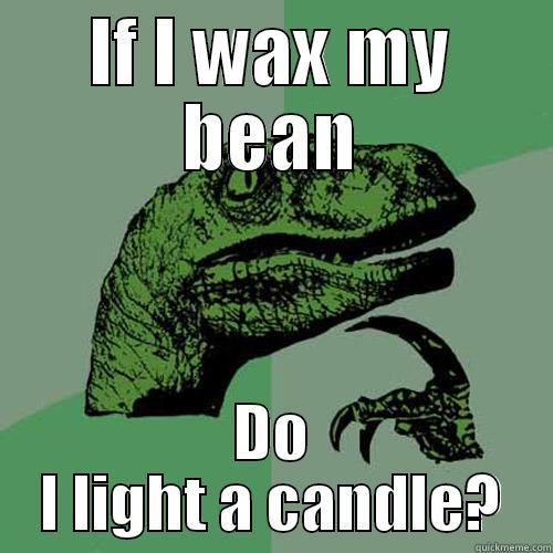 IF I WAX MY BEAN DO I LIGHT A CANDLE? Philosoraptor