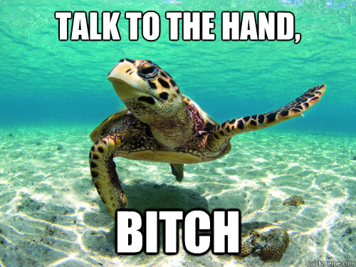 Talk to the hand, Bitch  Bitchy Turtle
