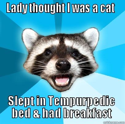 LADY THOUGHT I WAS A CAT  SLEPT IN TEMPURPEDIC BED & HAD BREAKFAST Lame Pun Coon