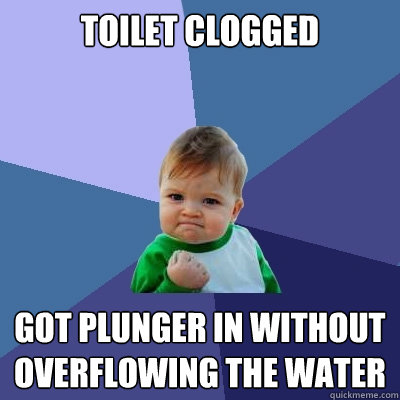 Toilet clogged got plunger in without overflowing the water - Toilet clogged got plunger in without overflowing the water  Success Kid