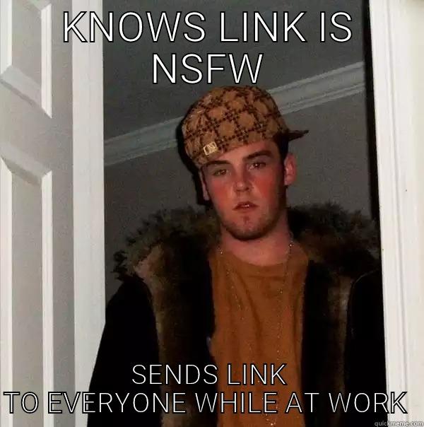 KNOWS LINK IS NSFW SENDS LINK TO EVERYONE WHILE AT WORK  Scumbag Steve