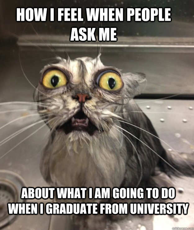 How I Feel When People Ask Me  About What I am going to do when I graduate from University - How I Feel When People Ask Me  About What I am going to do when I graduate from University  Bath Cat