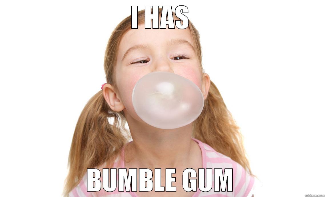 I HAS BUMBLE GUM Misc