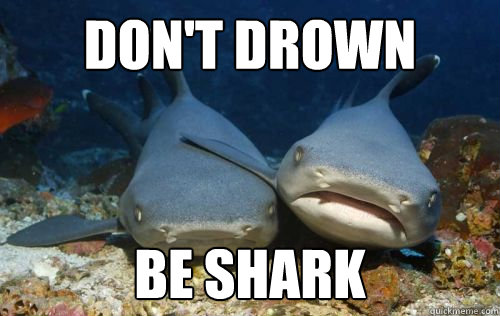 don't drown be shark  Compassionate Shark Friend