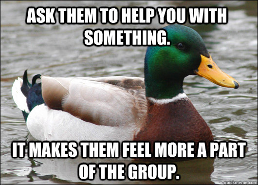 Ask them to help you with something. It makes them feel more a part of the group. - Ask them to help you with something. It makes them feel more a part of the group.  Actual Advice Mallard