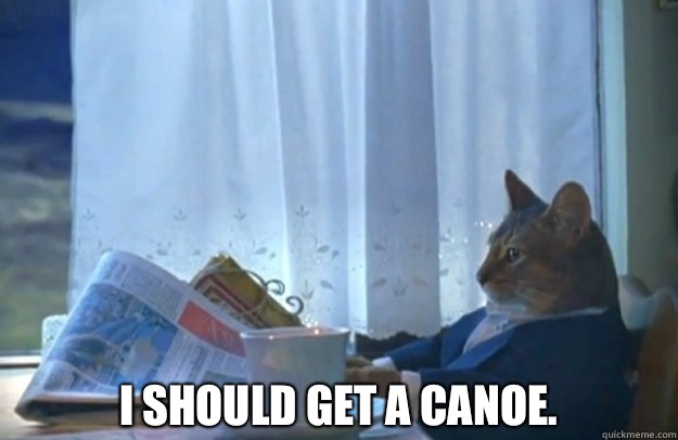  I should get a canoe.   Sophisticated Cat