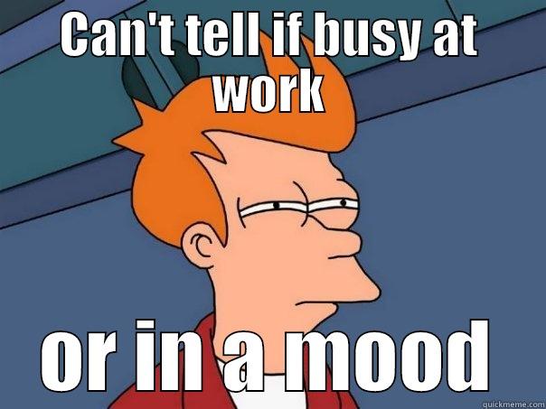 CAN'T TELL IF BUSY AT WORK OR IN A MOOD Futurama Fry