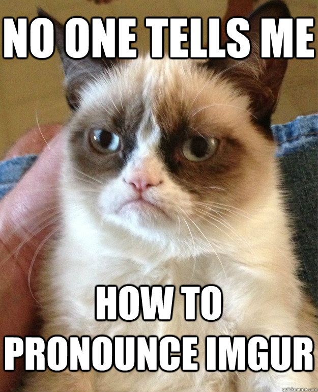 No one tells me how to pronounce imgur - No one tells me how to pronounce imgur  Grumpy Cat