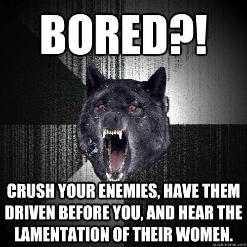 Bored?! CRUSH YOUR ENEMIES, HAVE THEM DRIVEN BEFORE YOU, AND HEAR THE LAMENTATION OF THEIR WOMEN.  Insanity Wolf