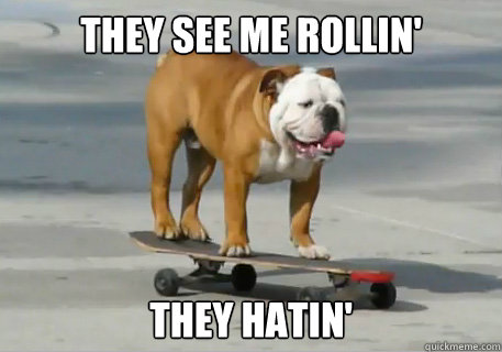 They See me rollin' They hatin' - They See me rollin' They hatin'  Skateboard Dog