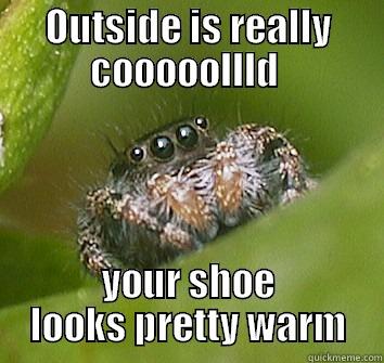 OUTSIDE IS REALLY COOOOOLLLD  YOUR SHOE LOOKS PRETTY WARM Misunderstood Spider