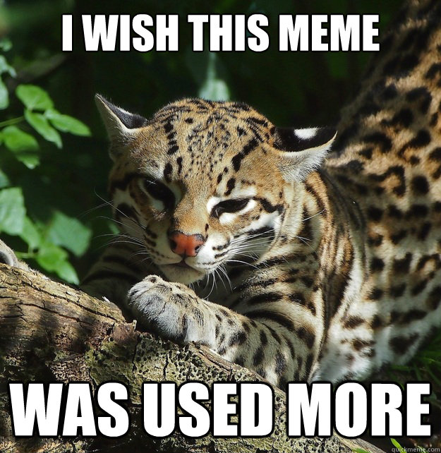i wish this meme was used more  Opinion Ocelot