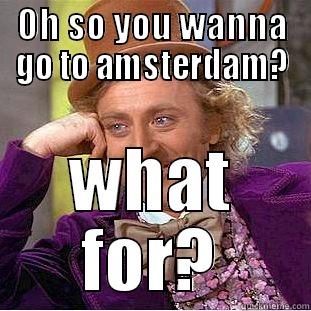 OH SO YOU WANNA GO TO AMSTERDAM? WHAT FOR? Condescending Wonka