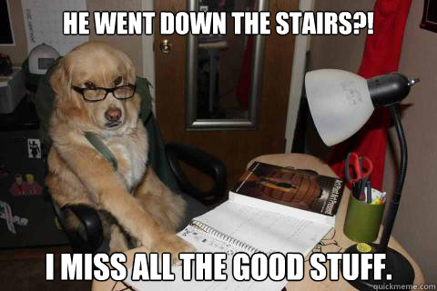 he went down the stairs?! I miss all the good stuff. - he went down the stairs?! I miss all the good stuff.  Disapproving Dad Dog