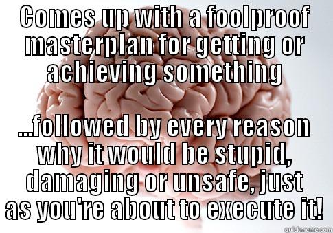 COMES UP WITH A FOOLPROOF MASTERPLAN FOR GETTING OR ACHIEVING SOMETHING ...FOLLOWED BY EVERY REASON WHY IT WOULD BE STUPID, DAMAGING OR UNSAFE, JUST AS YOU'RE ABOUT TO EXECUTE IT! Scumbag Brain