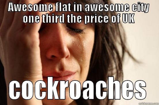 AWESOME FLAT IN AWESOME CITY ONE THIRD THE PRICE OF UK COCKROACHES First World Problems