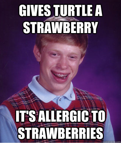 gives turtle a strawberry it's allergic to strawberries - gives turtle a strawberry it's allergic to strawberries  Bad Luck Brian
