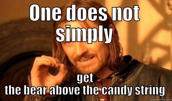 ONE DOES NOT SIMPLY GET THE BEAR ABOVE THE CANDY STRING Boromir