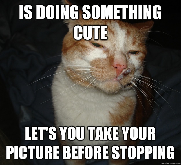 Is doing something cute Let's you take your picture before stopping  Cool Cat Craig