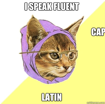 I speak fluent Latin Caption 3 goes here  Hipster Kitty