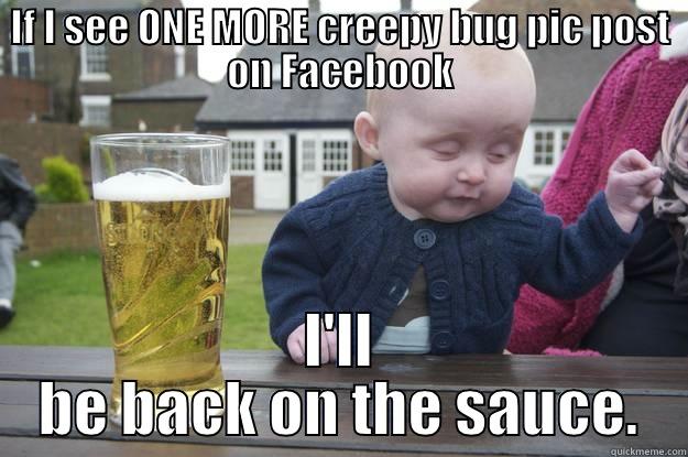 IF I SEE ONE MORE CREEPY BUG PIC POST ON FACEBOOK I'LL BE BACK ON THE SAUCE. drunk baby