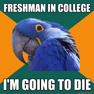 Freshman in college i'M GOING TO DIE  Paranoid Parrot