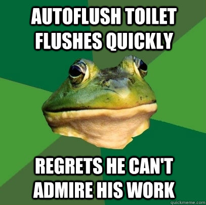Autoflush toilet flushes quickly Regrets he can't admire his work  Foul Bachelor Frog