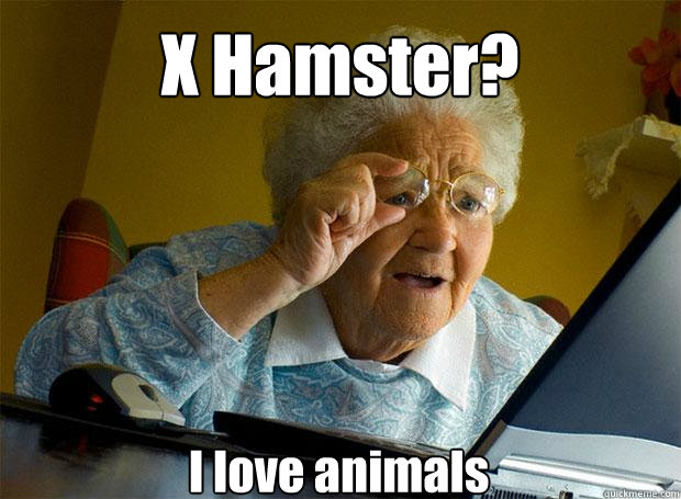 X Hamster? I love animals  Grandma finds the Internet