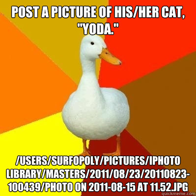 post a picture of his/her cat, 