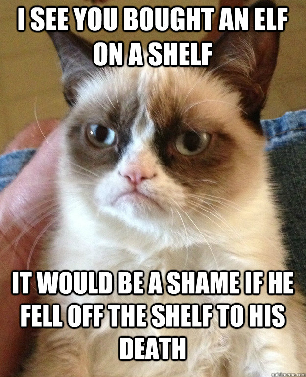 I see you bought an elf on a shelf It would be a shame if he fell off the shelf to his death  Grumpy Cat