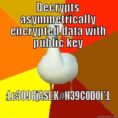 DECRYPTS ASYMMETRICALLY ENCRYPTED DATA WITH PUBLIC KEY :LC3098JASL:K#N39C0D0F';L Tech Impaired Duck