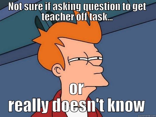 NOT SURE IF ASKING QUESTION TO GET TEACHER OFF TASK... OR REALLY DOESN'T KNOW Futurama Fry