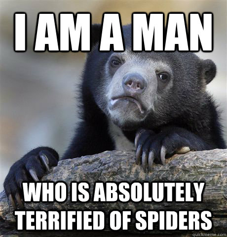 I am a man who is absolutely terrified of spiders  Confession Bear