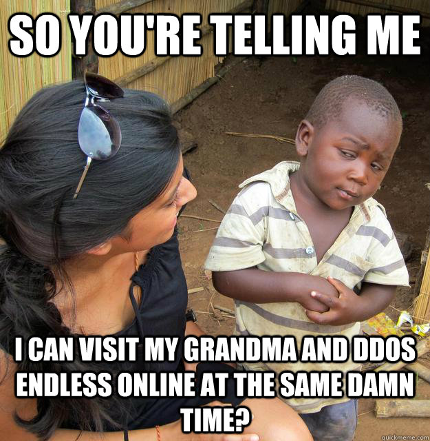 So you're telling me I can visit my Grandma and DDoS Endless Online at the same damn time?  Skeptical Third World Child
