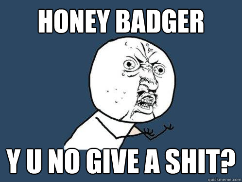 Honey Badger y u no give a shit?  Y U No