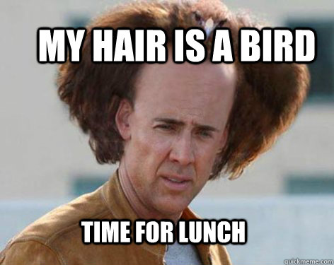 my hair is a bird time for lunch  Crazy Nicolas Cage