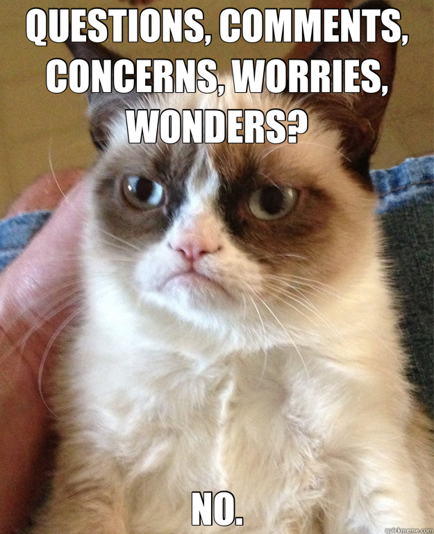 QUESTIONS, COMMENTS, CONCERNS, WORRIES, WONDERS? NO. - QUESTIONS, COMMENTS, CONCERNS, WORRIES, WONDERS? NO.  Misc