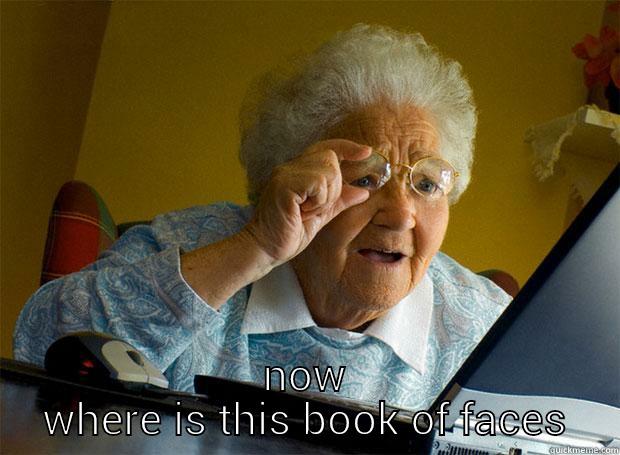  NOW WHERE IS THIS BOOK OF FACES Grandma finds the Internet