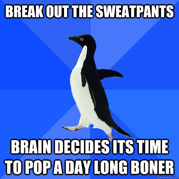 Break out the sweatpants brain decides its time to pop a day long boner  Socially Awkward Penguin