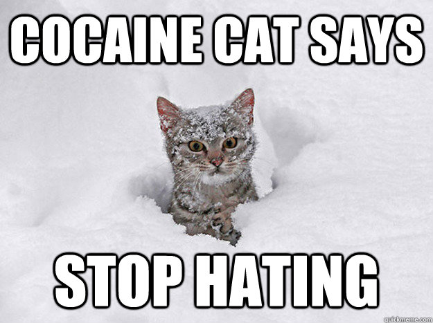 Cocaine Cat Says Stop Hating  