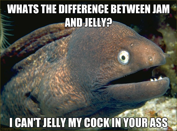 Whats the difference between jam and jelly? I can't jelly my cock in your ass - Whats the difference between jam and jelly? I can't jelly my cock in your ass  Bad Joke Eel
