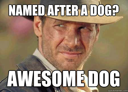 named after a dog? awesome dog  Indiana Jones Life Lessons