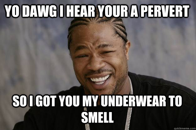 YO DAWG I HEAR YOUr a pervert so I got you my underwear to smell  Xzibit meme