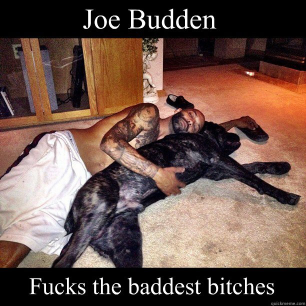 Joe Budden Fucks the baddest bitches - Joe Budden Fucks the baddest bitches  Budden