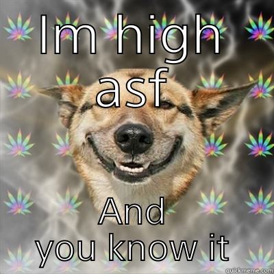 IM HIGH ASF AND YOU KNOW IT Stoner Dog
