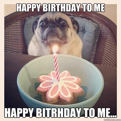 Happy Birthday to me Happy Bitrhday to me...  Scared birthday pug