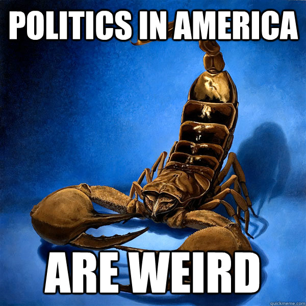 Politics in america are weird - Politics in america are weird  Misc