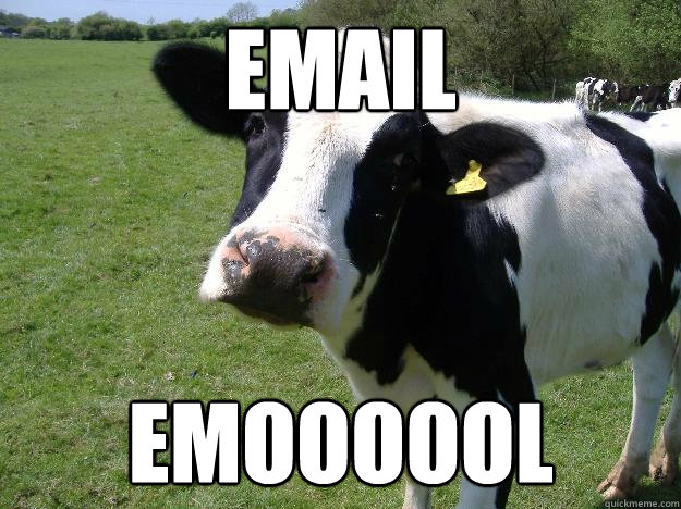 email emoooool  Whatcowwhat