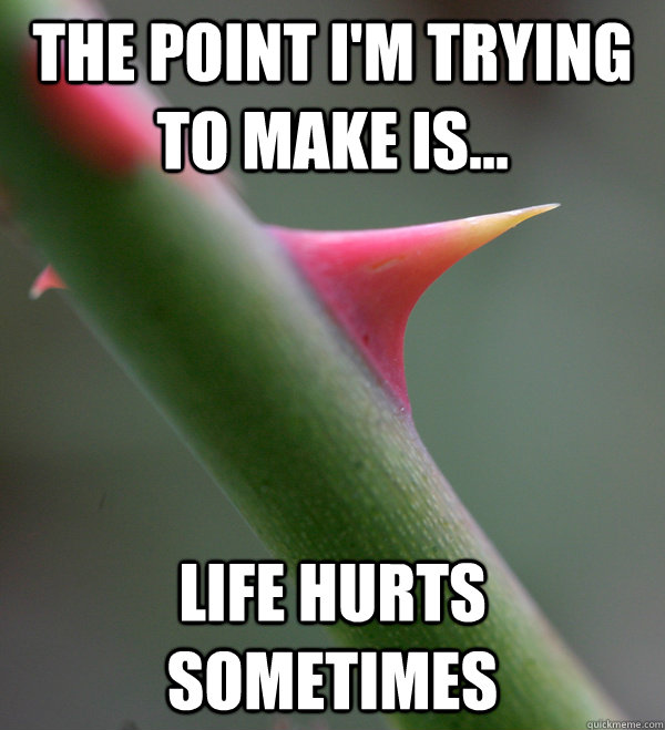 The point I'm trying to make is... Life Hurts Sometimes  Self Important Prick